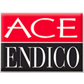 Ace Endico Corporation
